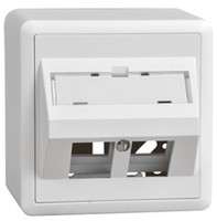 LAN AP54 Schrägauslassdose 2x Keystone  EDIZIOdue 20 ws