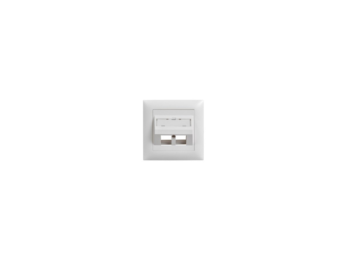 LAN UP prise de sortie oblique 2x Keystone EDIZIOdue 19 blc