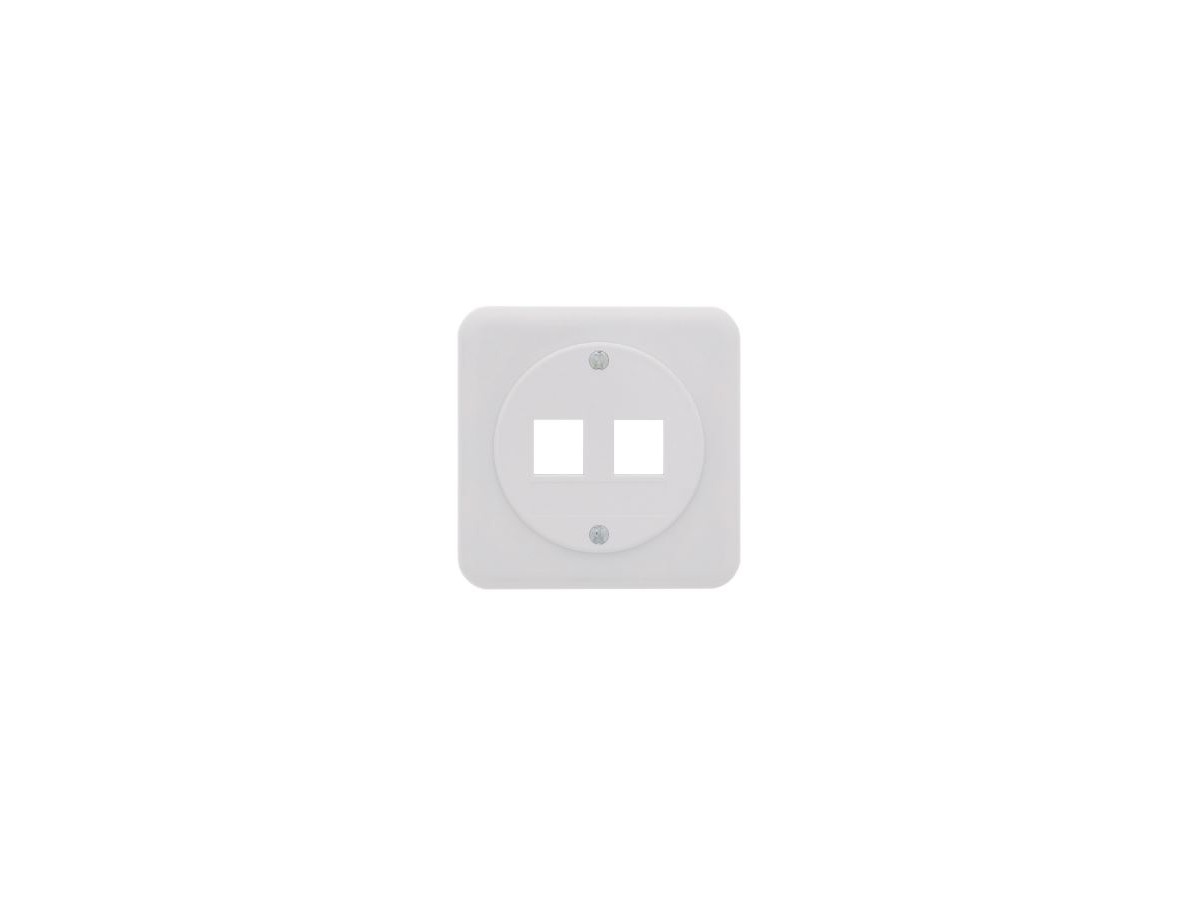 LAN UP63 prise droit 2 x Keystone STANDARDdue 20 blc