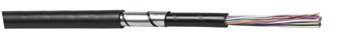 PE-ALT-CLT 20x4x0.8 hf schwarz Fca