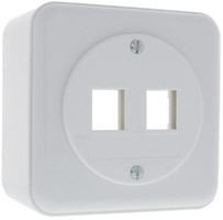 LAN AP53 Dose gerade 2x Keystone STANDARDdue 20 ws