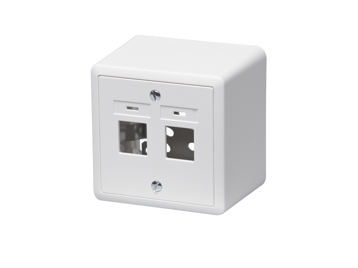 RJ45 AP Edizio due 1/2 fach ws