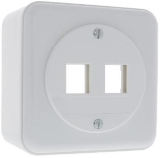 LAN AP53 Dose gerade 2x Keystone STANDARDdue 20 ws