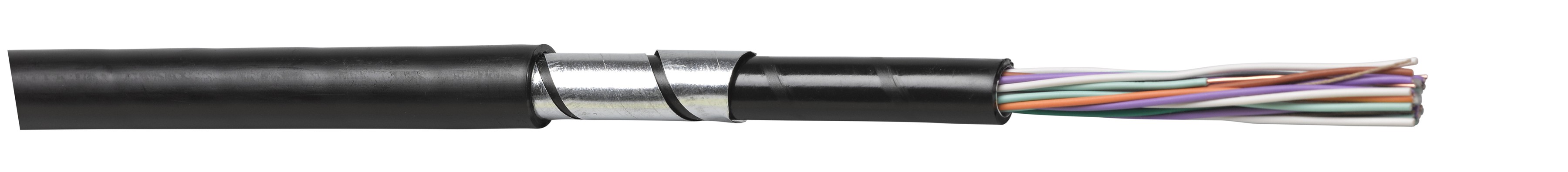 PE-ALT-CLT 1x4x0.8 hf schwarz Fca